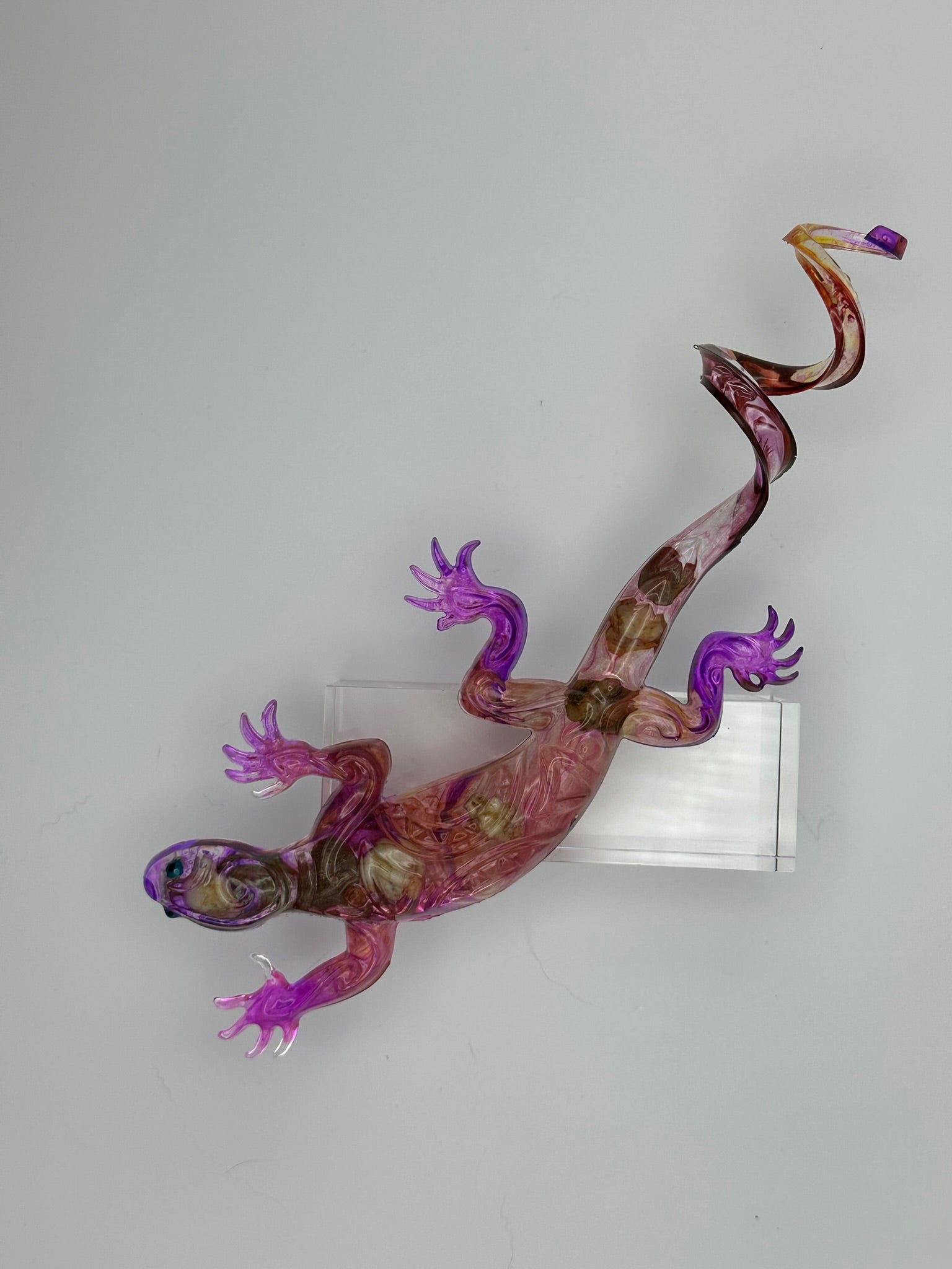 Lizards
