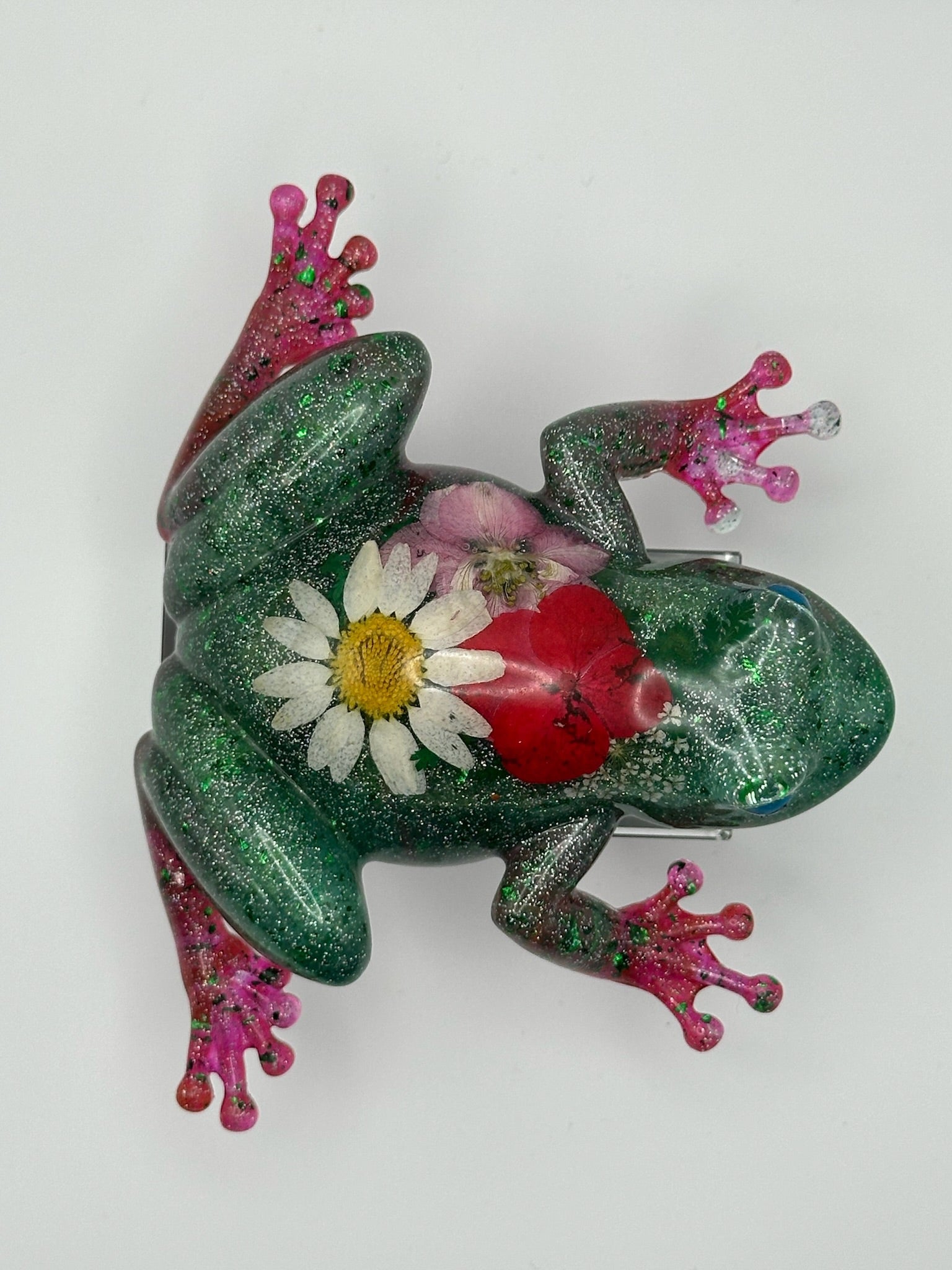 Fancy Frogs