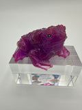 Frog little/purple/item 178