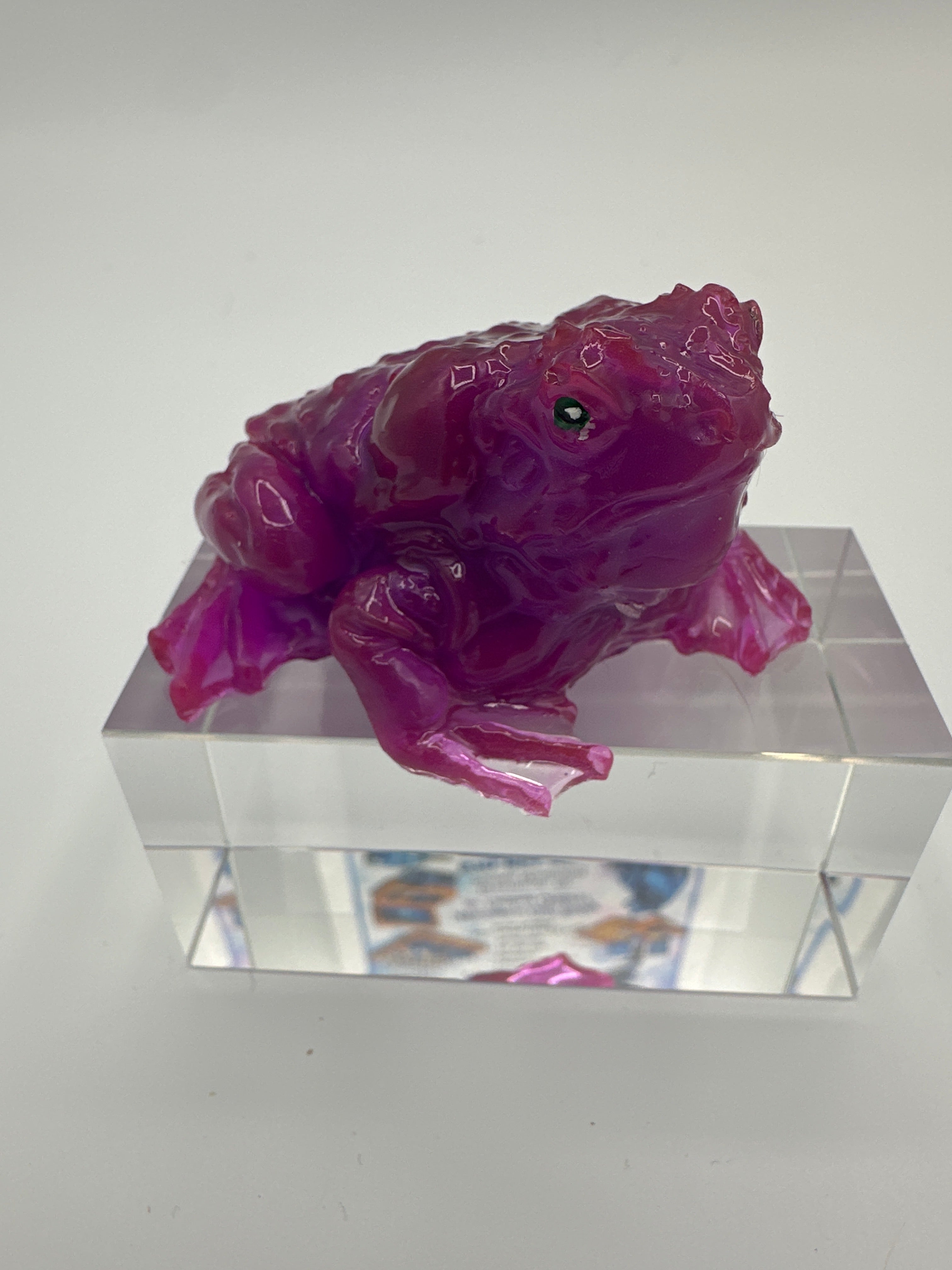 Frog little/purple/item 178