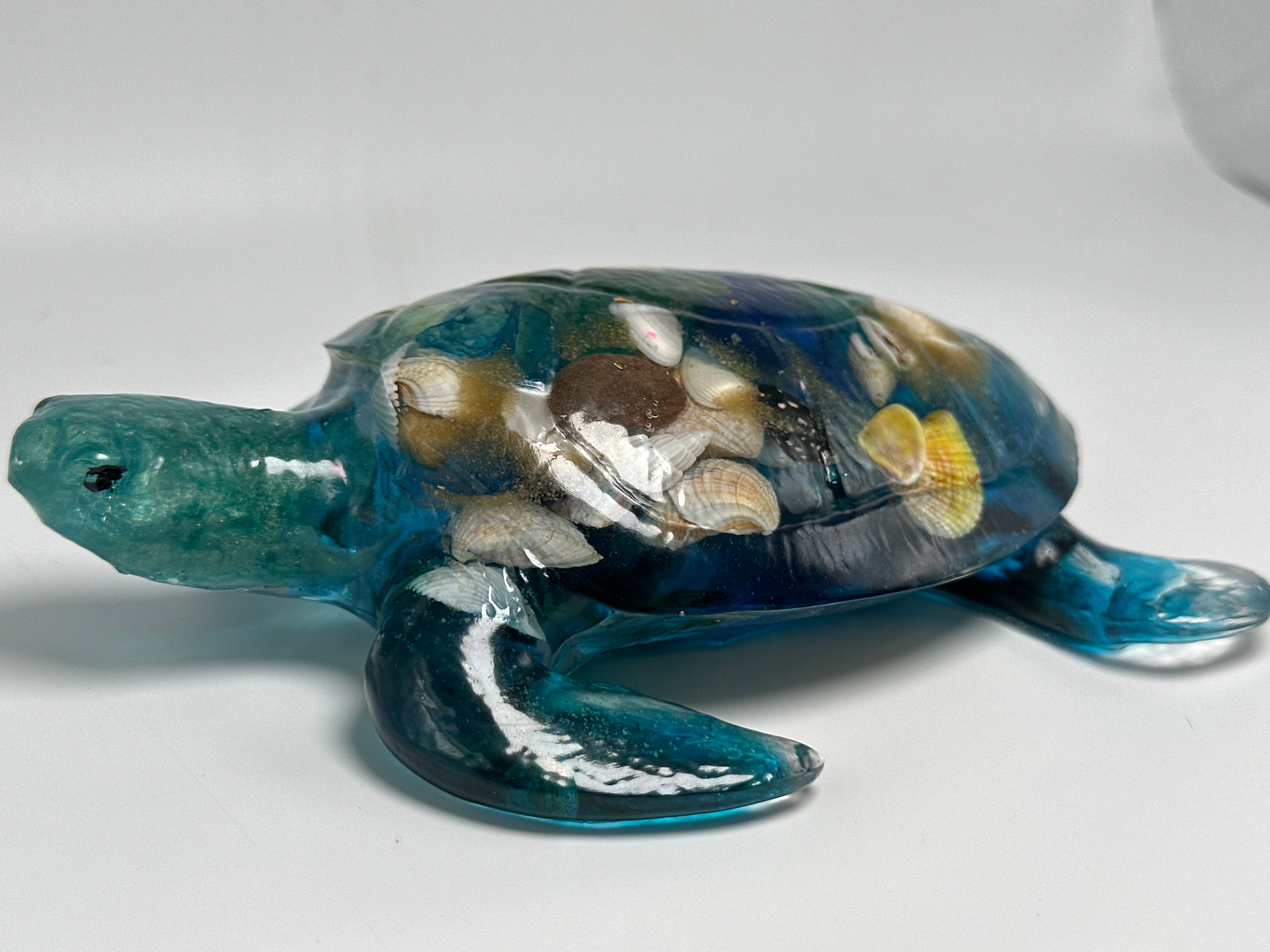 Sea Turtle blue/ 6 inch /sea shell/ fish head. Item 1