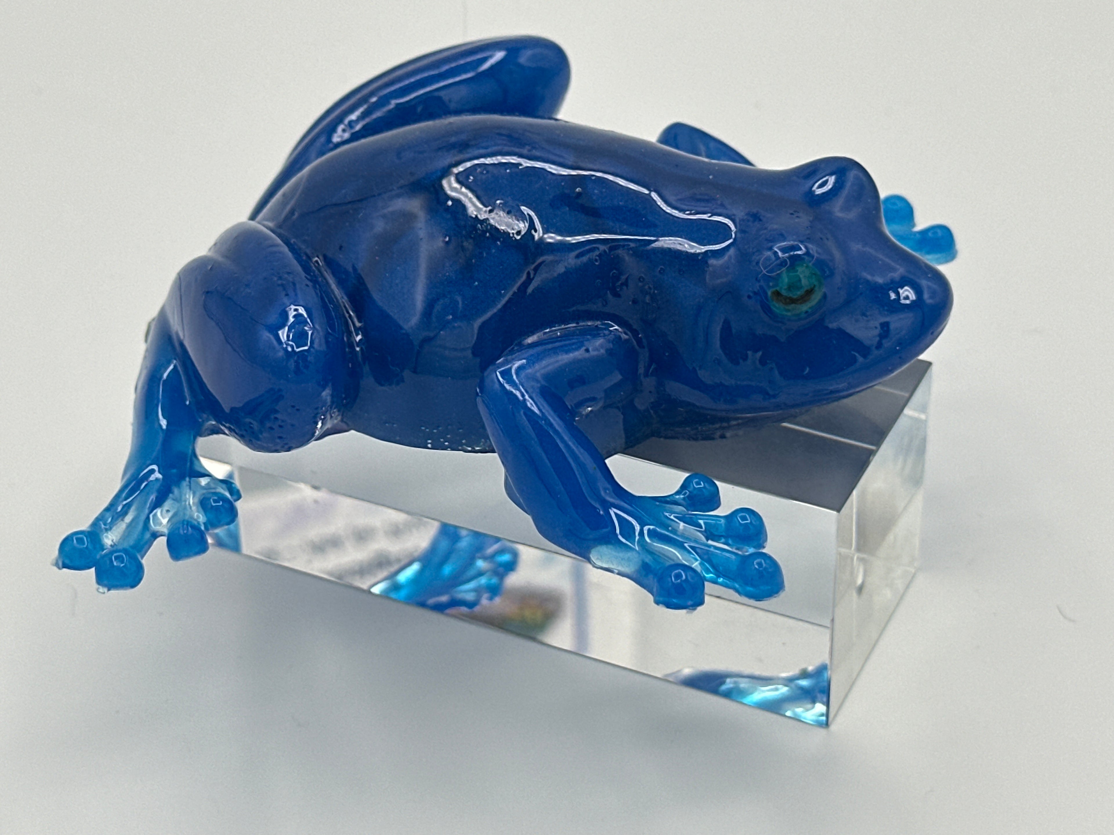 Fancy frog/blue Mica/painted eyes/item 380