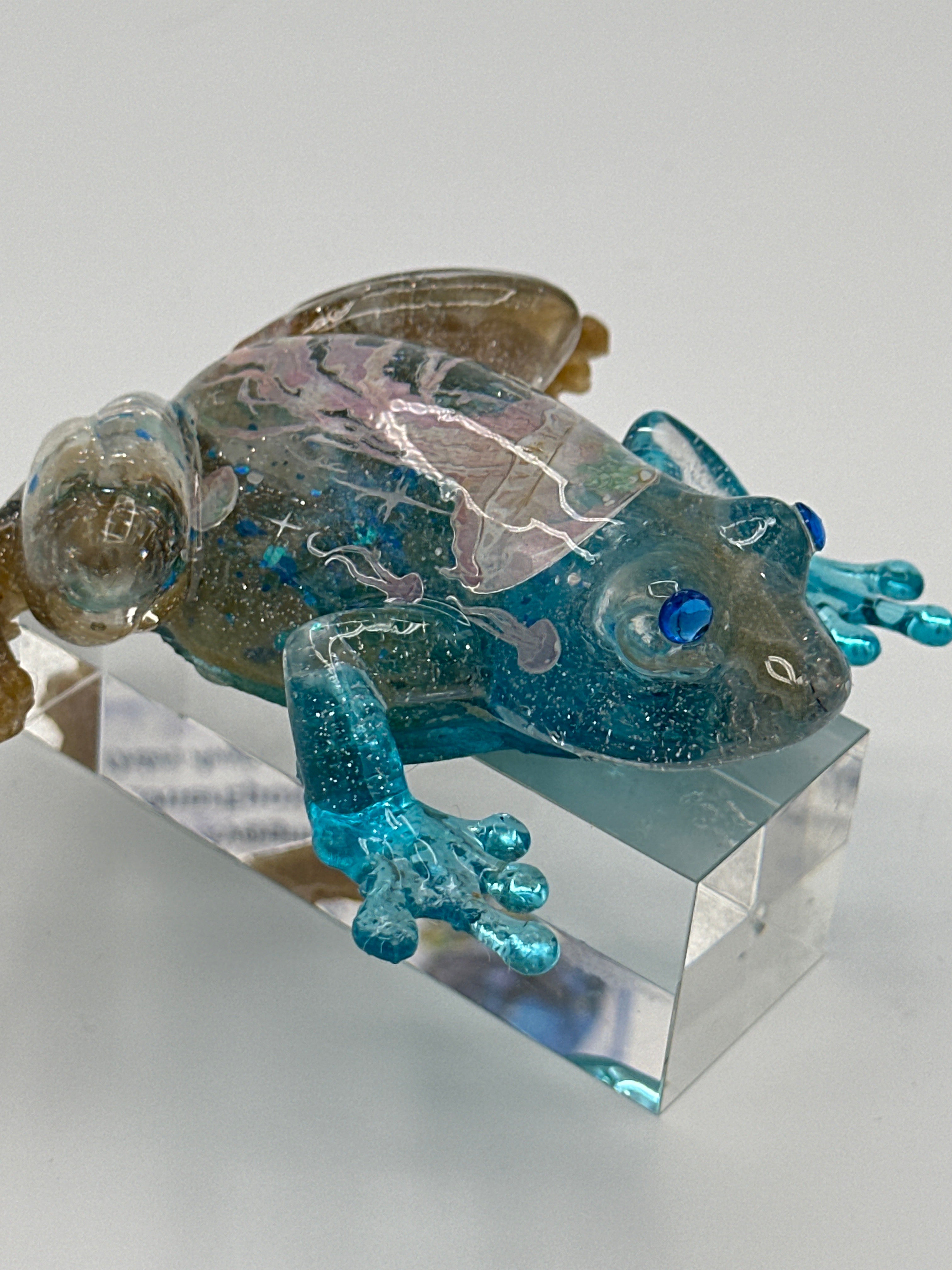 Fancy frog/jellyfish sand/blue stone eyes/item 297