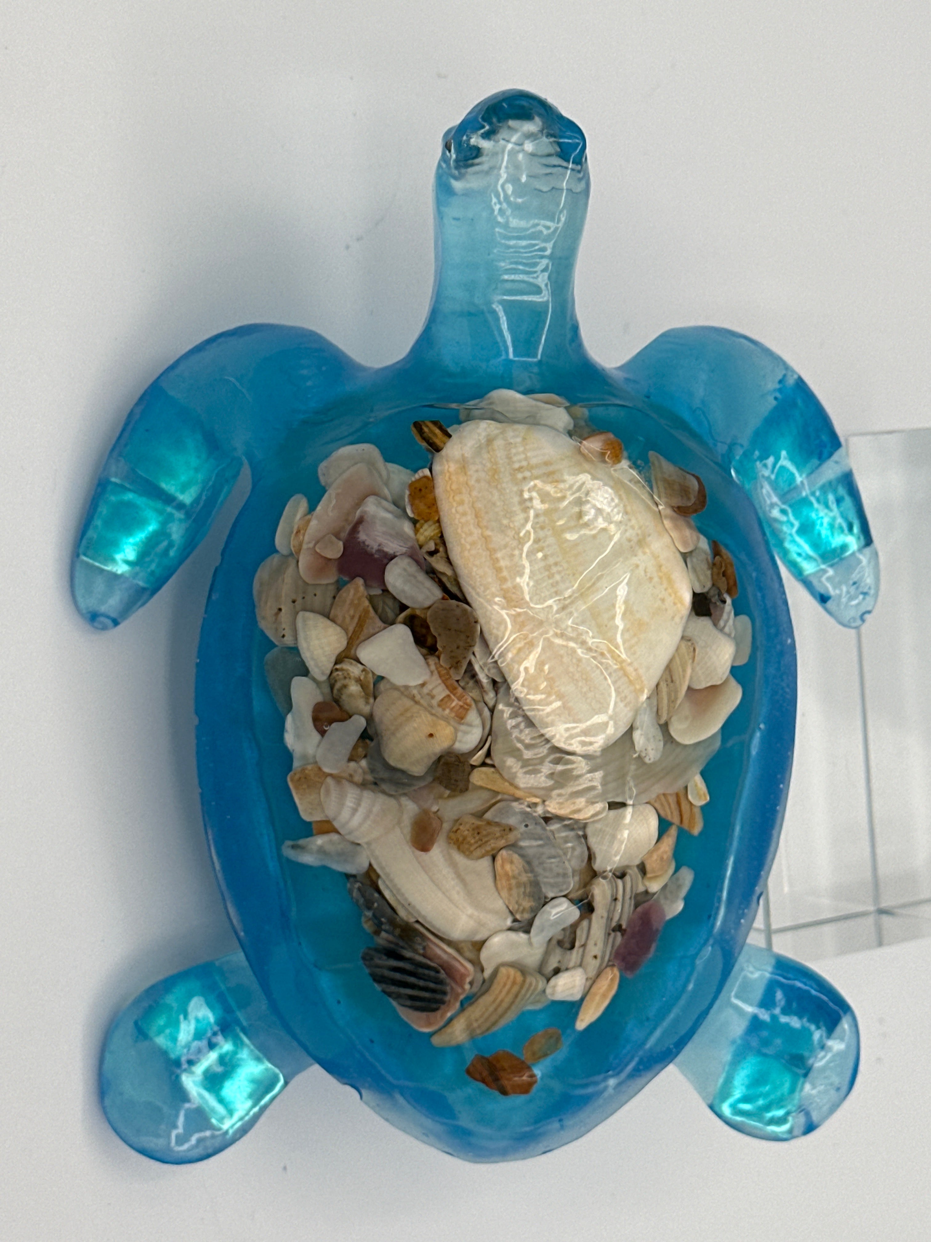 Sea turtle medium 6 inches long/color aqua/Sea shells/ weight 10.4 ounces /item 322